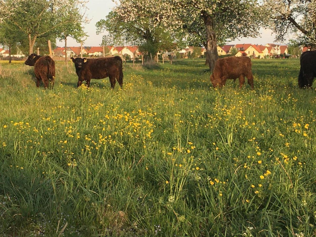 Bauernhof Weber Nieratz