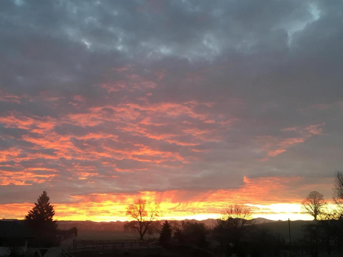 Weber Nieratz * Wangen im Allgäu